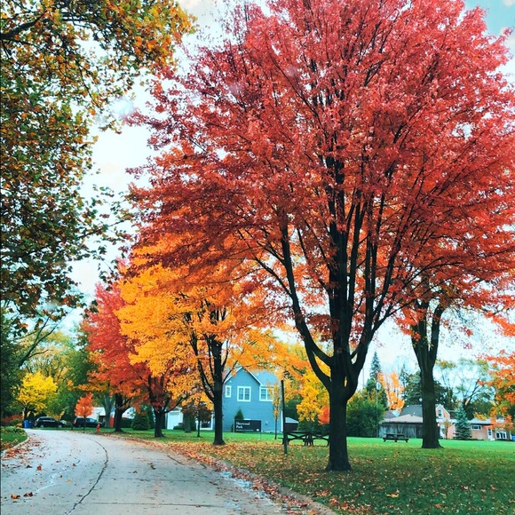 Canon Rebel T3 - Picture 10 of 11